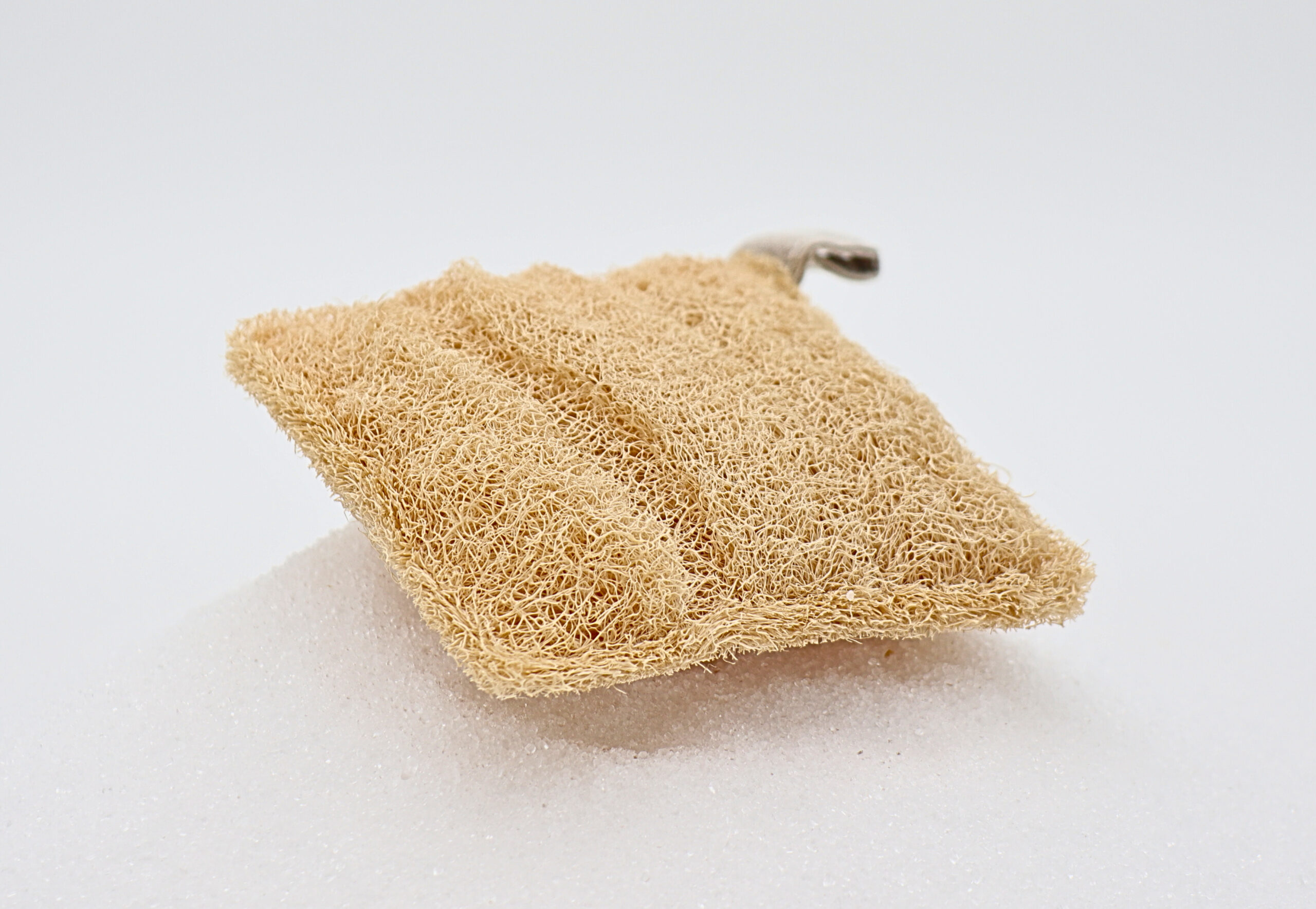 Luffa-Schwamm (quad.) Luffa-Schwamm (quad.) – Bild 3