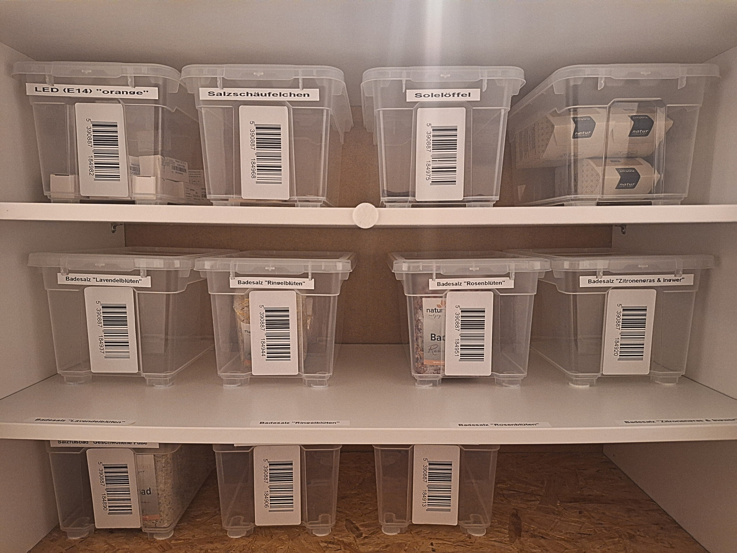 Ordnung mit beschrifteten Aufbewahrungsboxen