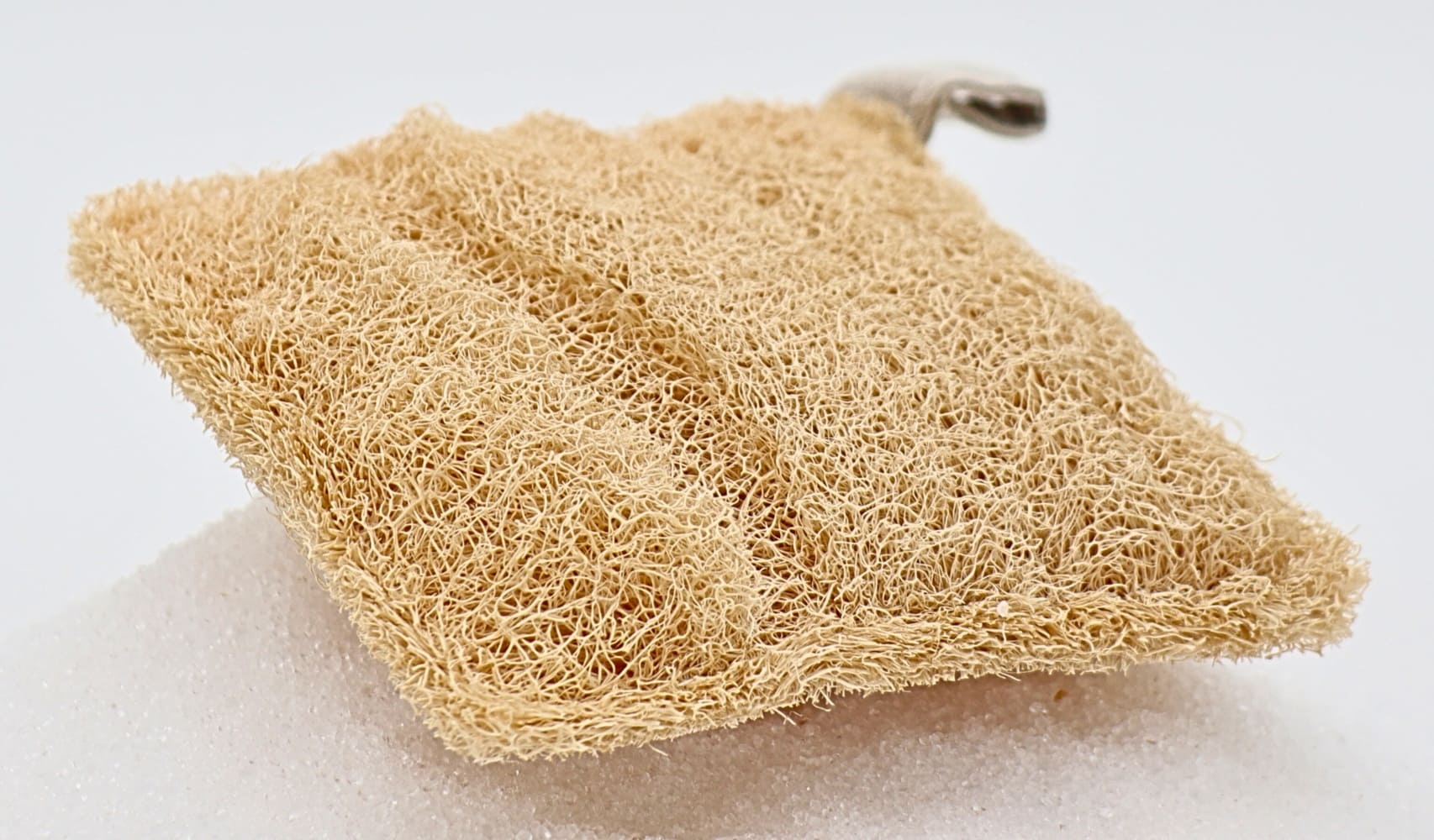 Luffa-Schwamm (quad.) Luffa-Schwamm (quad.) – Bild 4