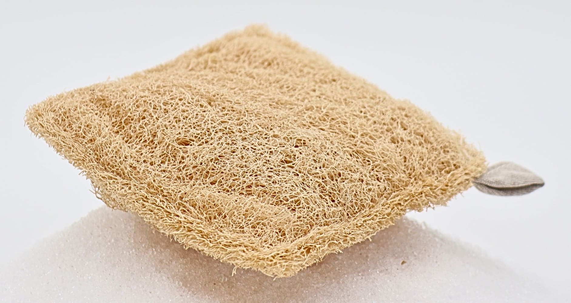 Luffa-Schwamm (quad.) Luffa-Schwamm (quad.) – Bild 2