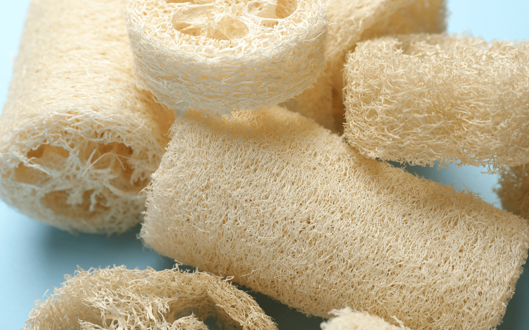 Luffa richtig pflegen: So bleibt dein Naturschwamm hygienisch rein und hält länger
