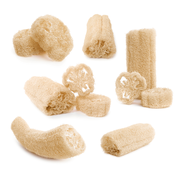 Luffa-Schwämme Zusammenstellung verschiedener Luffa-Schwämme