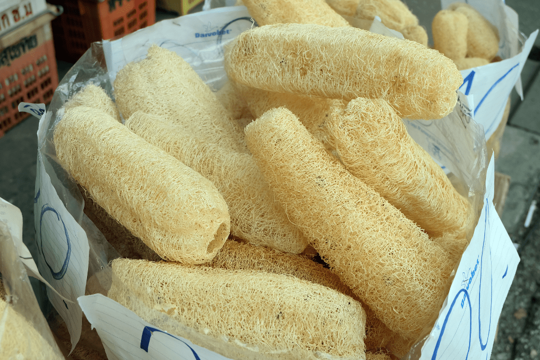 Luffa Schwämme Luffa-Schwämme in Korb