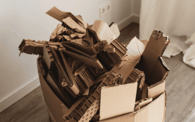 FloWü-Webshop 1 Zweite Chance für den Karton: Wie der FloWü-Webshop durch Verpackungs-Upcycling Ressourcen schützt